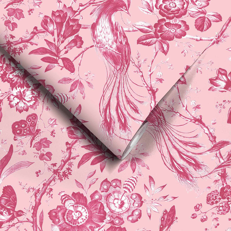 Plumage Peony Pink Wallpaper