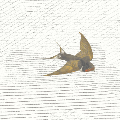 Sweeping Swallows Wallpaper