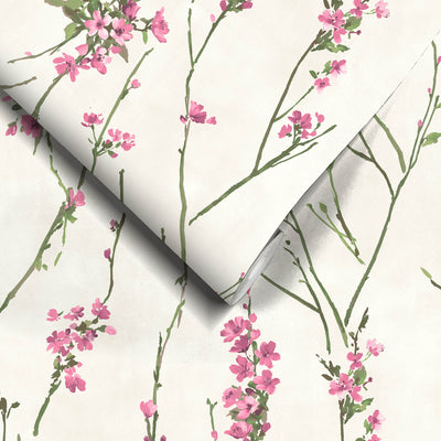 Blossom Pink on Cream Wallpaper