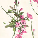 Blossom Pink on Cream Wallpaper