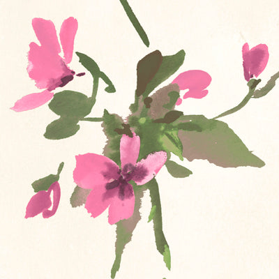 Blossom Pink on Cream Wallpaper