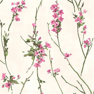 Blossom Pink on Cream Wallpaper