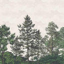Heaton Park Evergreen Mural