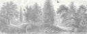 Garden of Eden Border - Grey