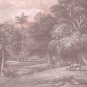 Sunrise Border - Pink