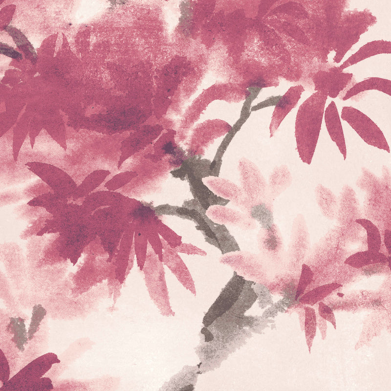 Aralia Fuchsia Wallpaper