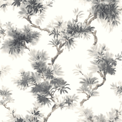 Aralia Grey Wallpaper