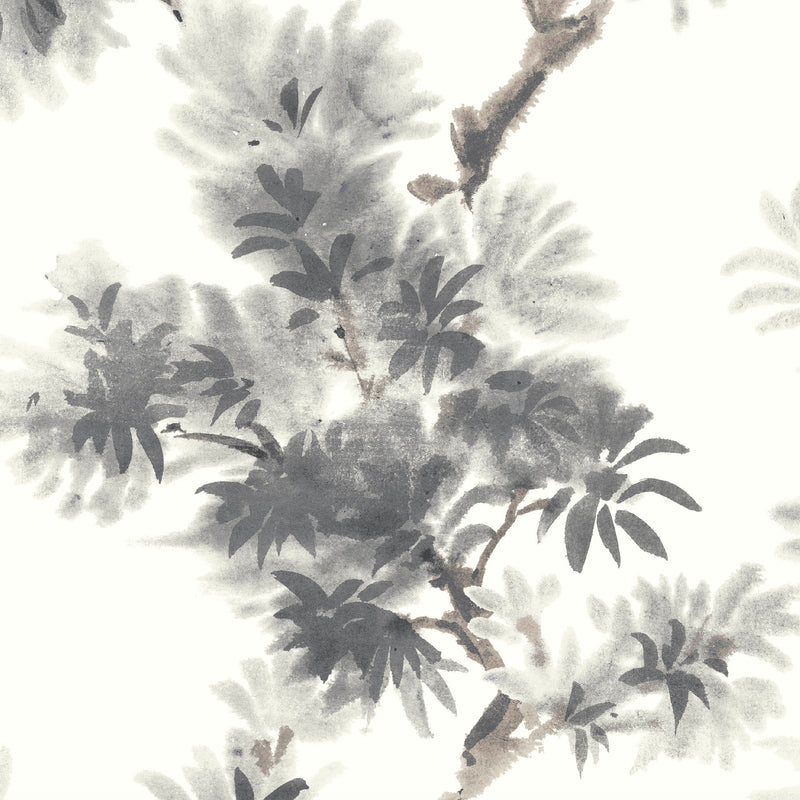 Aralia Grey Wallpaper