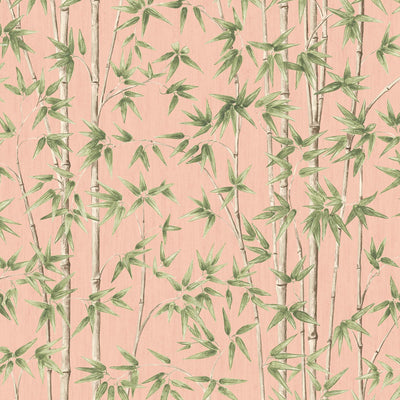 Bamboozle Salmon Wallpaper