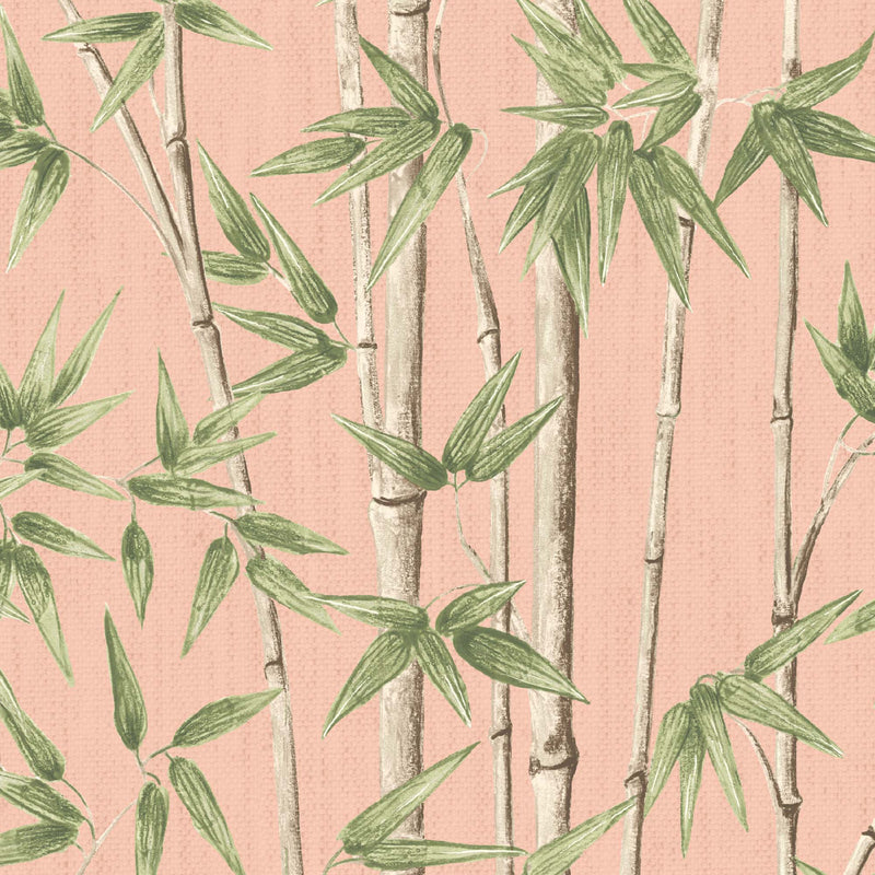Bamboozle Salmon Wallpaper