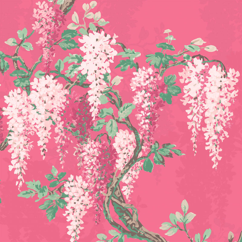 Wisteria Botanical Disco Pink Wallpaper