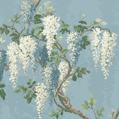 Wisteria Botanical Powder Blue Wallpaper
