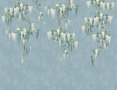 Wisteria Botanical Powder Blue Mural