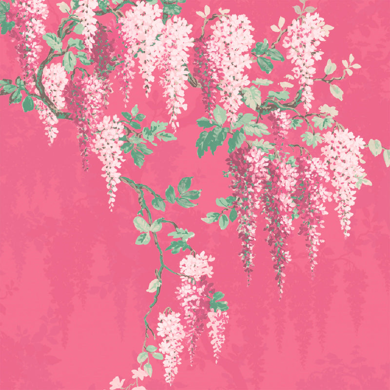 Wisteria Botanical Disco Pink Border