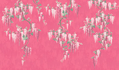 Wisteria Botanical Disco Pink Border
