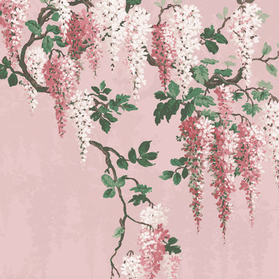 Wisteria Botanical Pink Bloom Mural