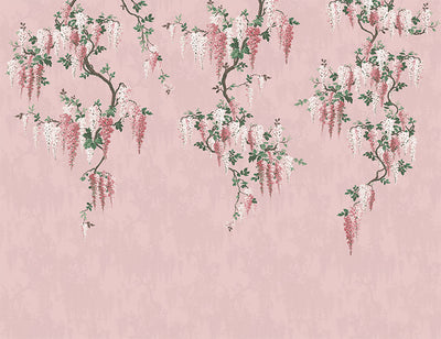 Wisteria Botanical Pink Bloom Mural