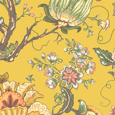 Arcadia Daffodil Wallpaper