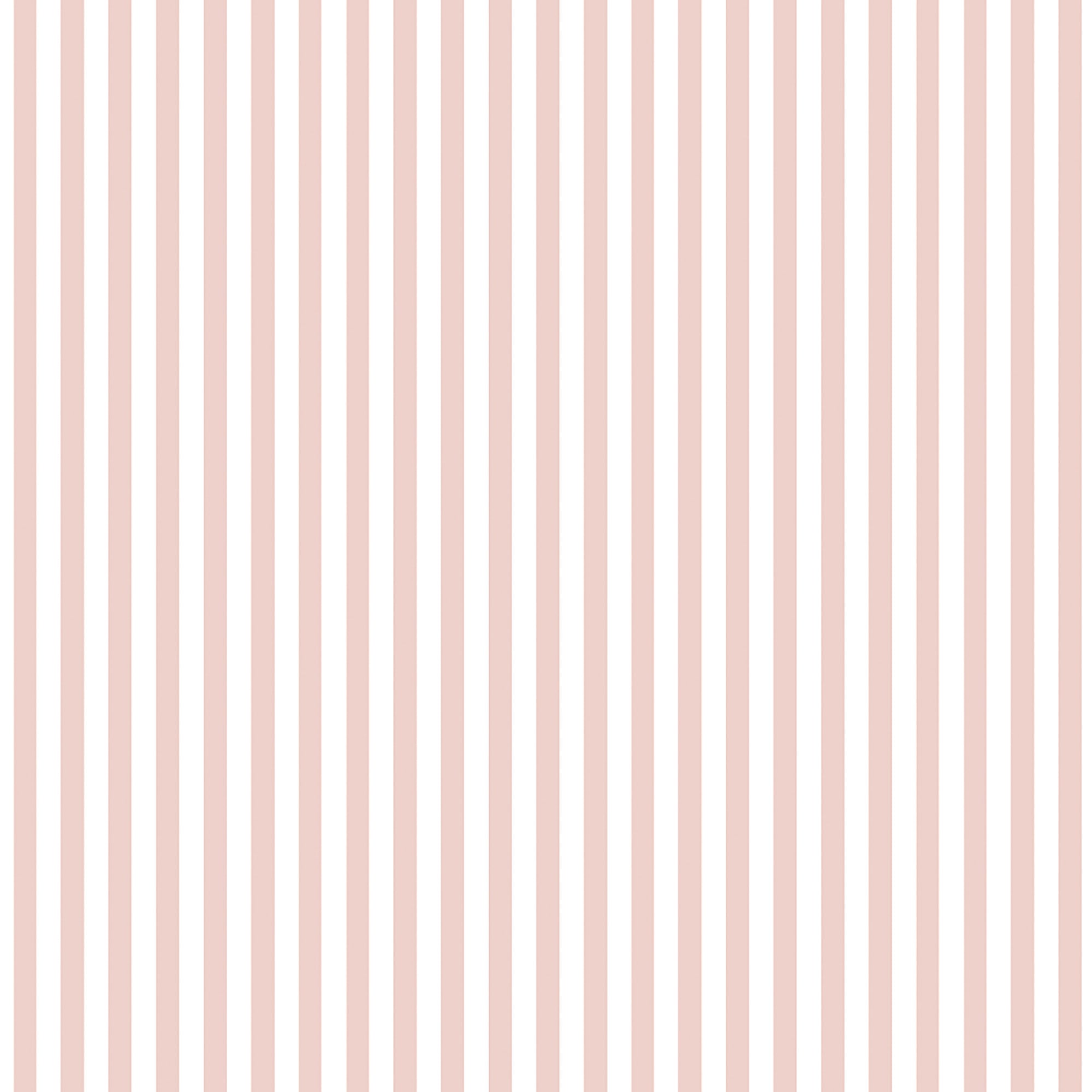 Pink Streips Matchstick Stripe Blush Pink Wallpaper – Soft Pink Geometric Stripe ...
