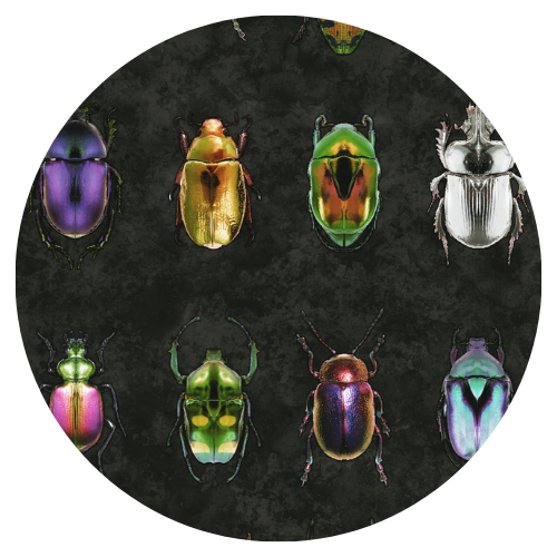 Beetle Jewels Multi Black Linen Fabric