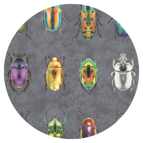 Beetle Jewels Multi Charcoal Velvet Fabric