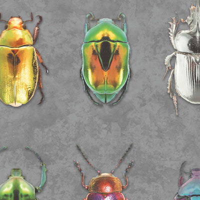 Beetle Jewels insect Wallpaper by Woodchip & Magnolia 