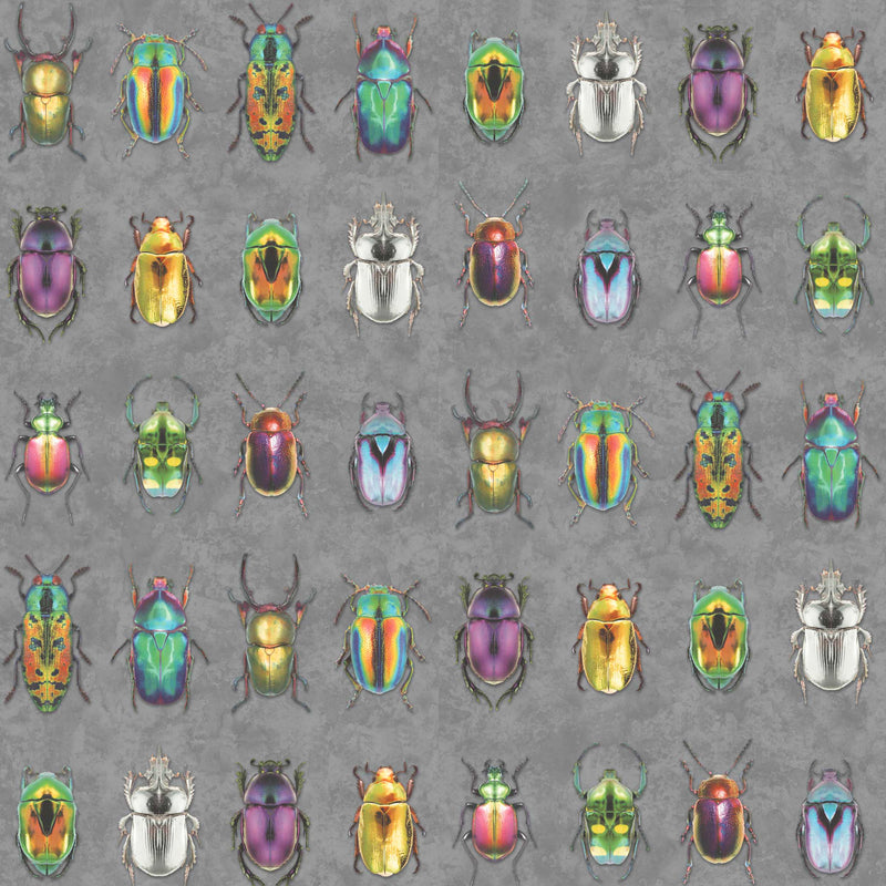 Beetle Jewels insect Wallpaper by Woodchip & Magnolia 