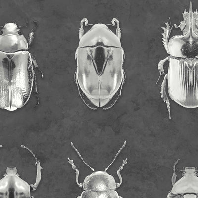 Beetle Jewels beetle insect Wallpaper by Woodchip & Magnolia 
