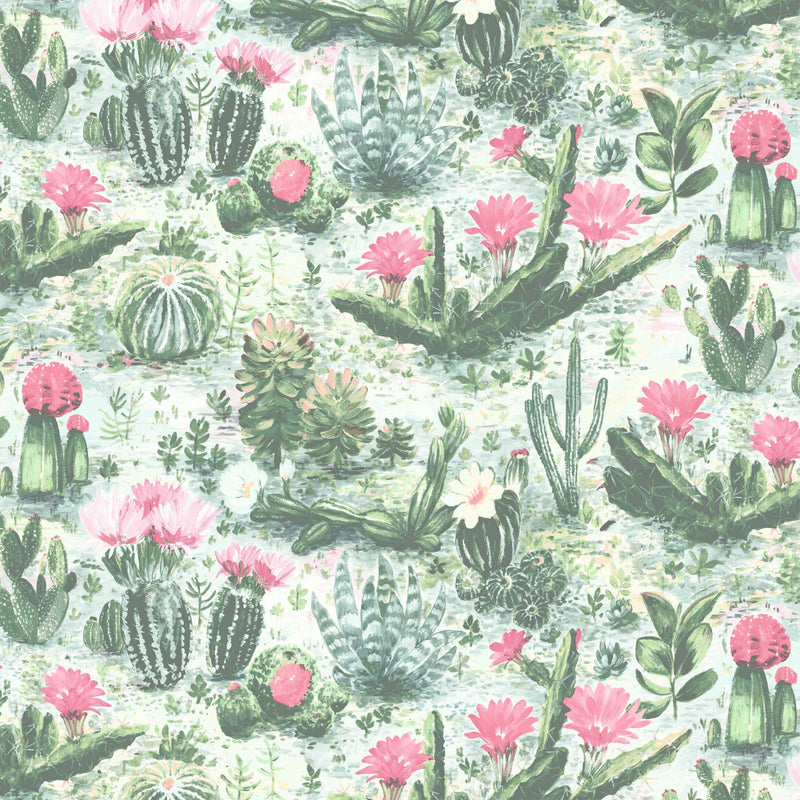 Cacti Green Pink Wallpaper