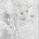 Meraki Concrete Effect Botanical Wallpaper​