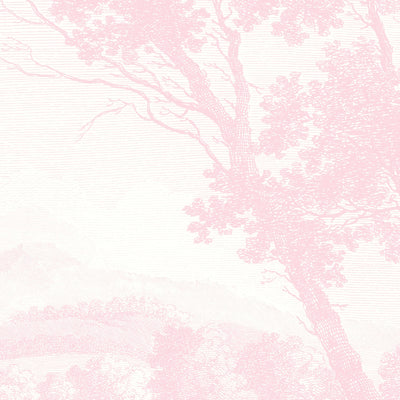 Peaceful Countryside Pink Mural